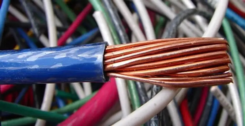 electrical wiring services showing exposed copper conductors and cable preparation in Wilmington, NC